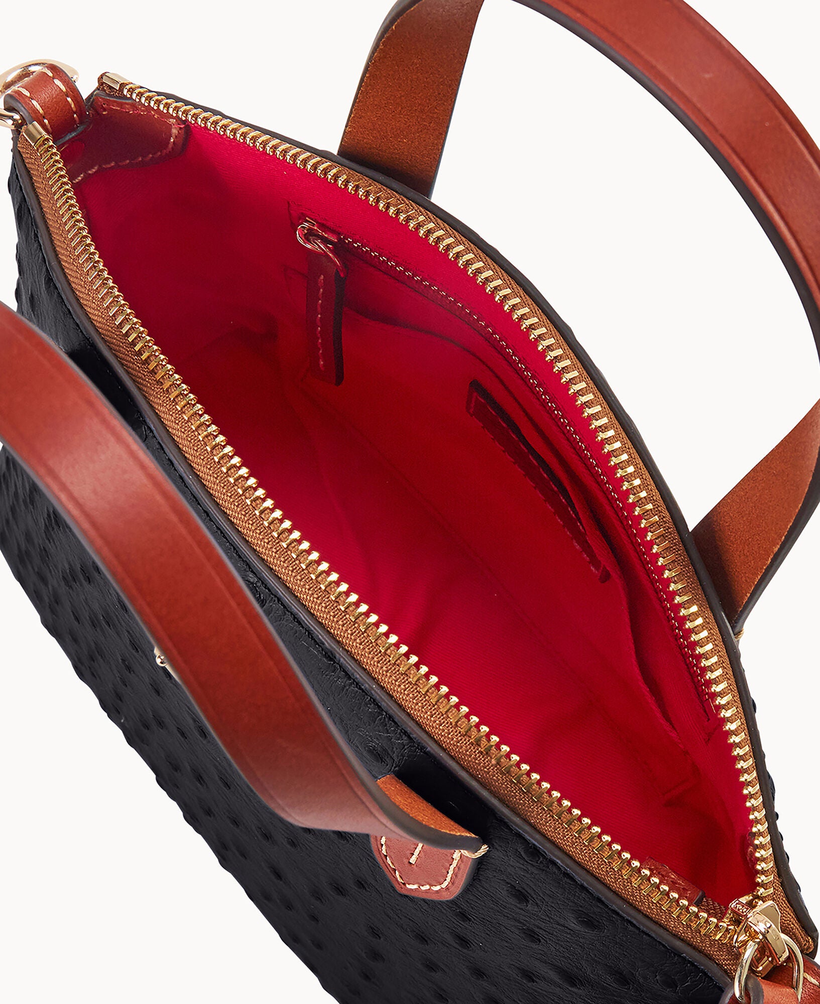 Ostrich Ruby - Image 3