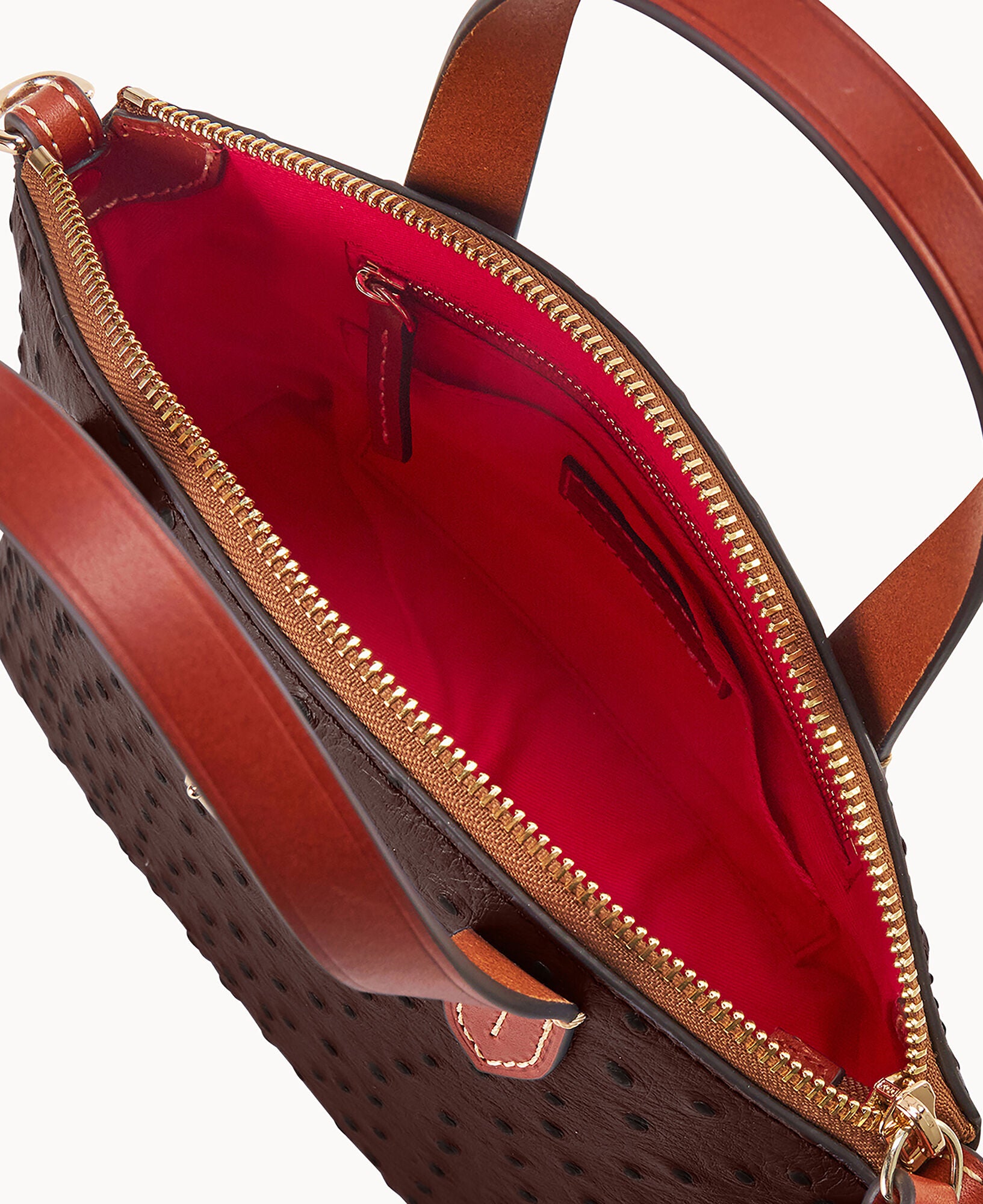 Ostrich Ruby - Image 7