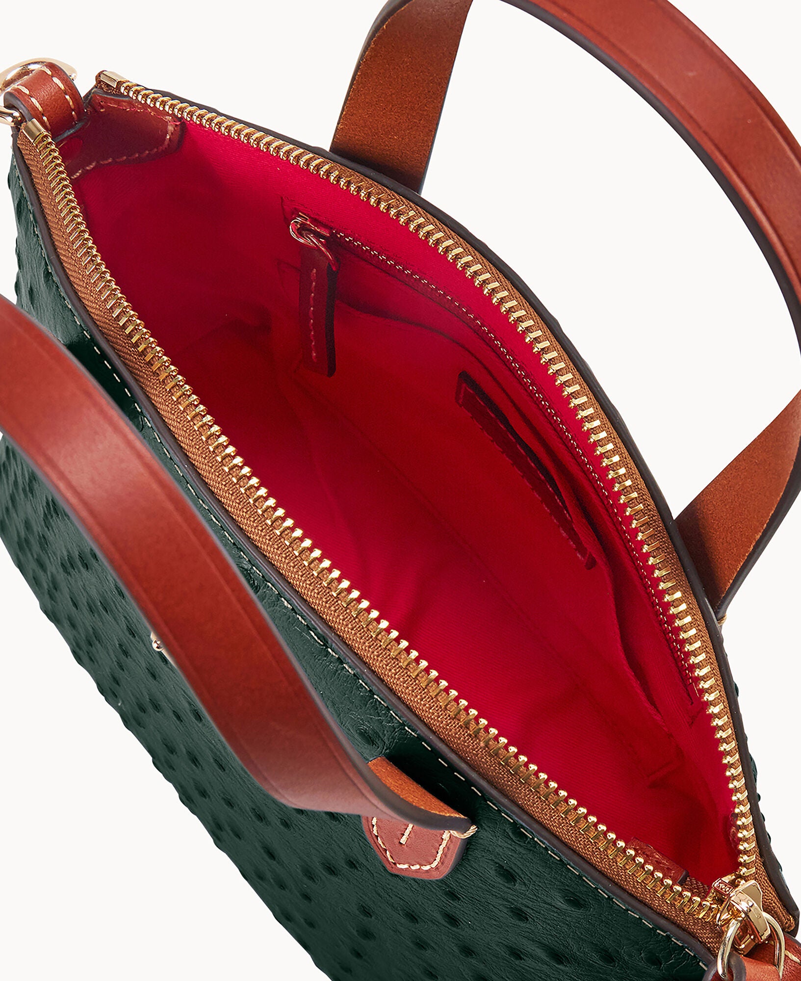 Ostrich Ruby - Image 15