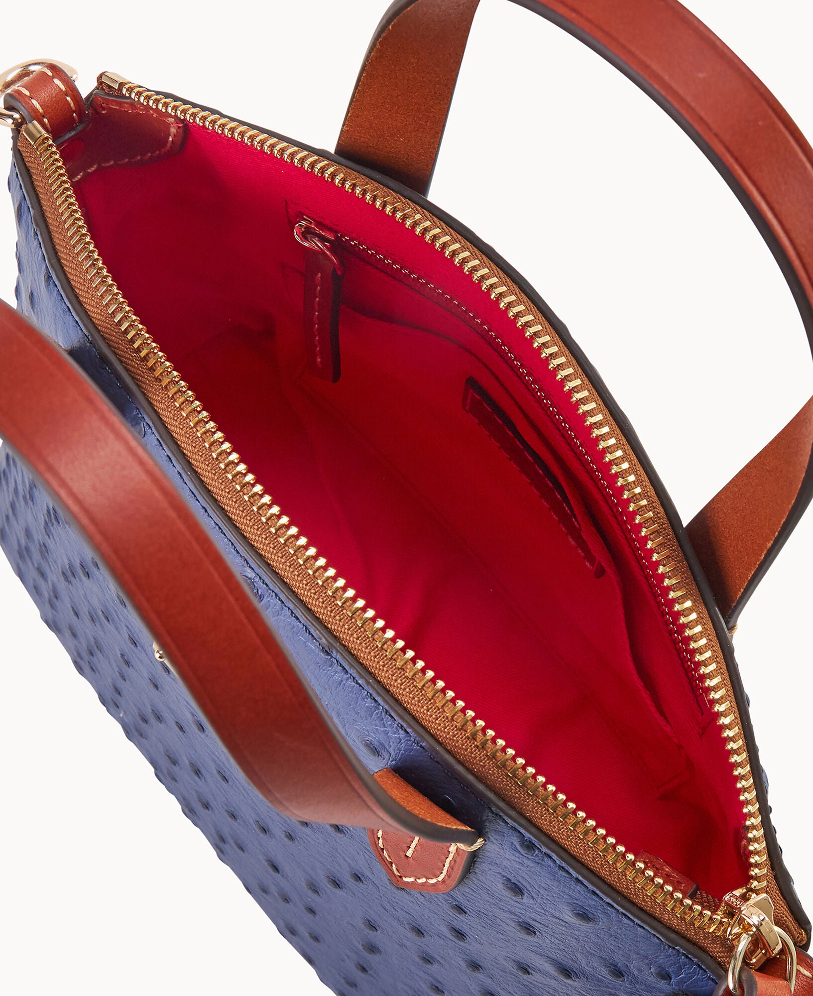 Ostrich Ruby - Image 19