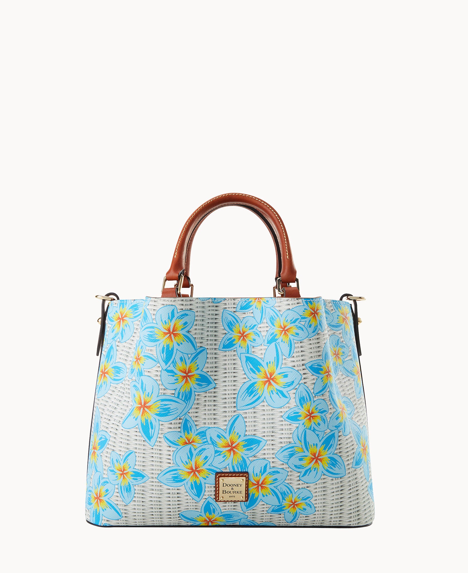 Plumeria Brenna - Image 9